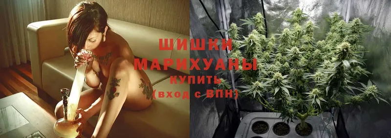 как найти наркотики  Жуков  MEGA tor  Марихуана SATIVA & INDICA 